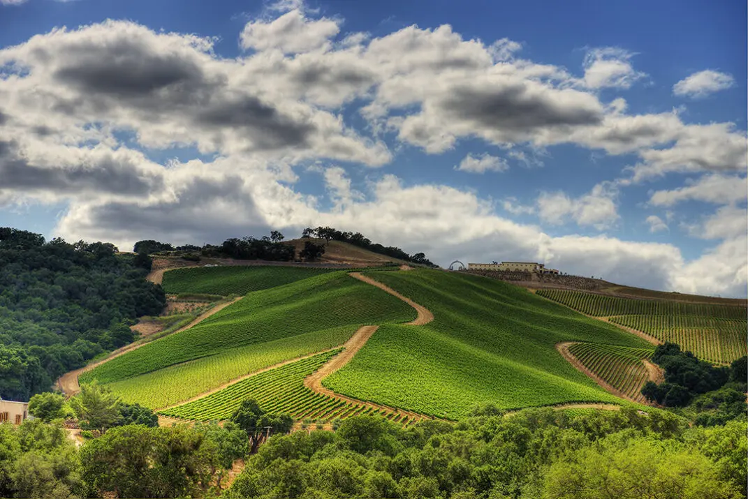 Paso Robles wine country
