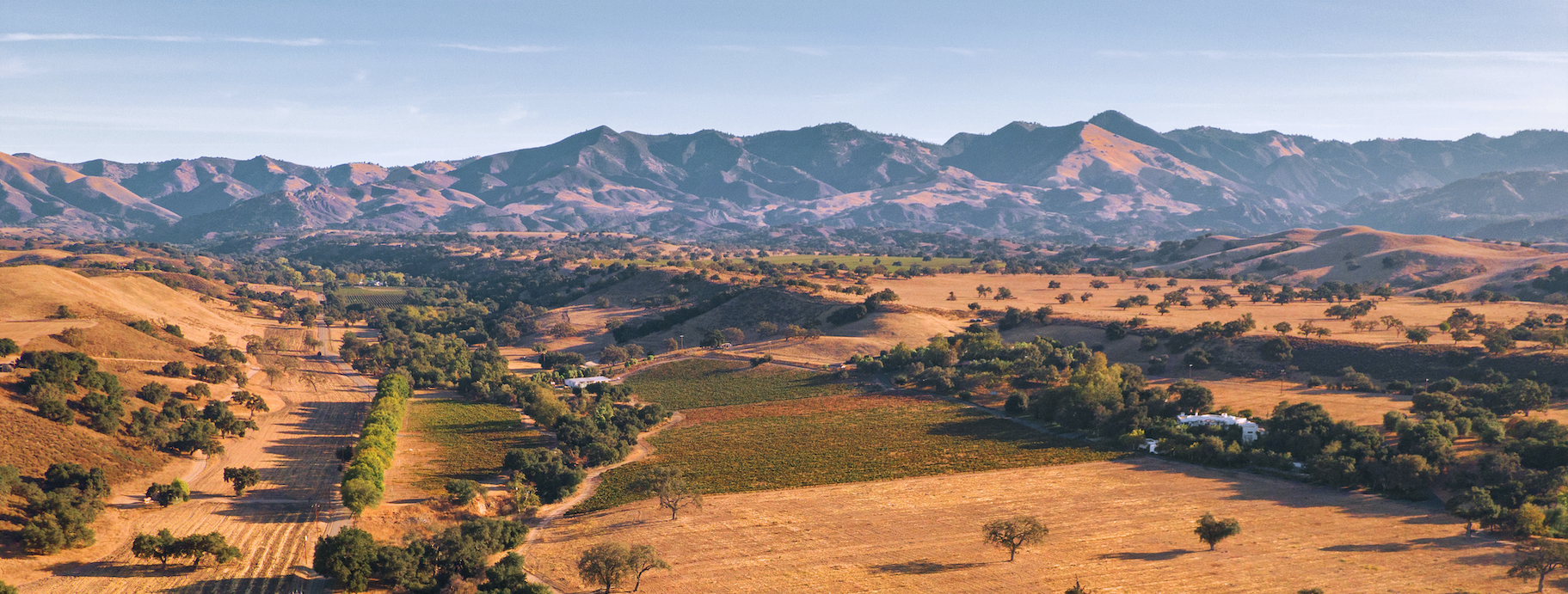 Santa Maria Valley agricultural landscape